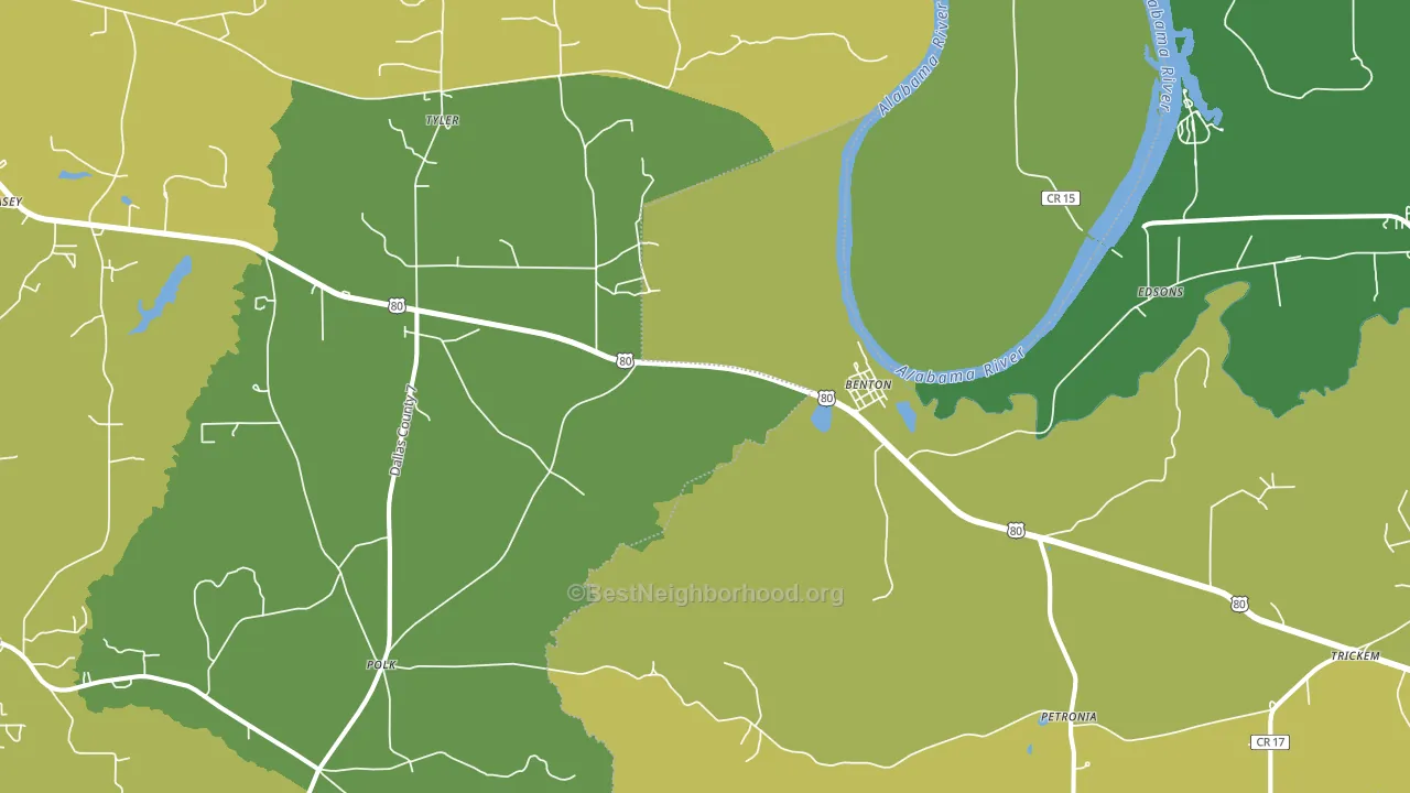 Tyler, AL block-group voter-turnout map