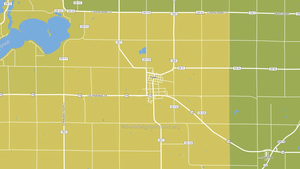 Tyler, MN block-group voter-turnout map