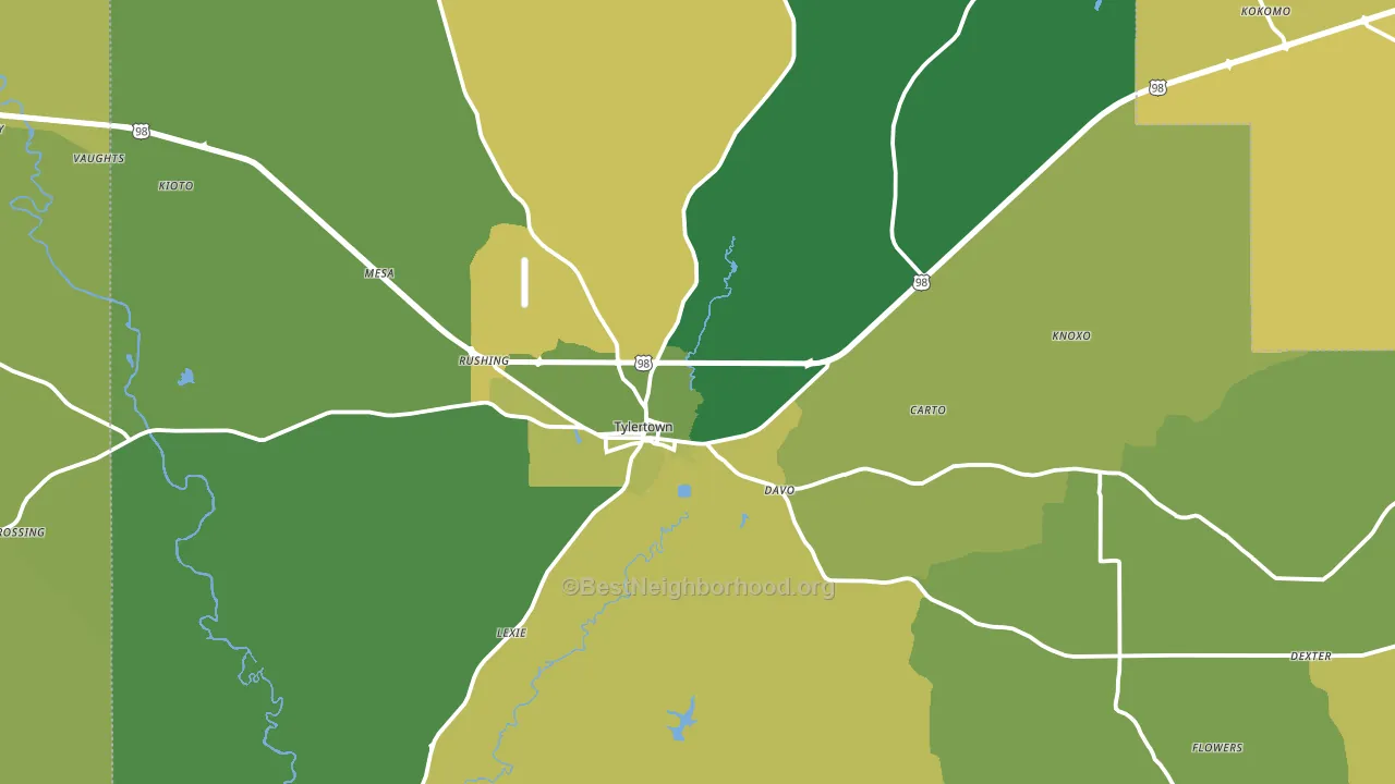 Tylertown, MS block-group voter-turnout map