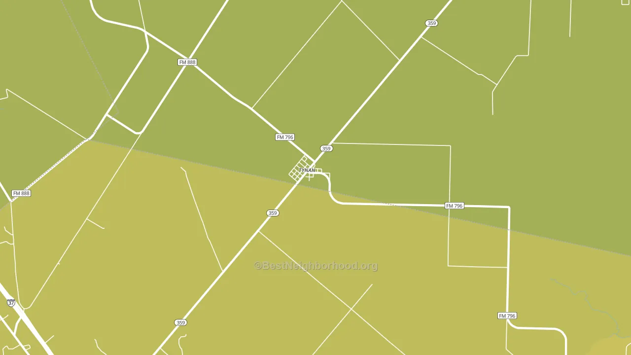 Tynan, TX block-group voter-turnout map