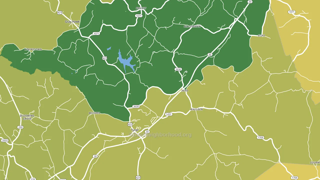 Tyner, KY block-group voter-turnout map