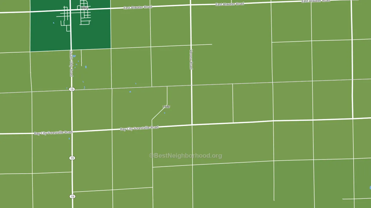 Tyre, MI block-group voter-turnout map
