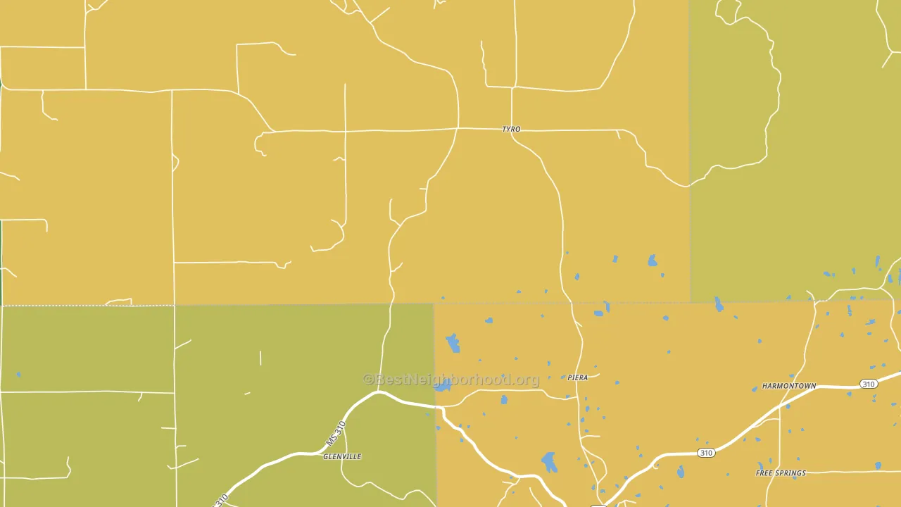 Tyro, MS block-group voter-turnout map