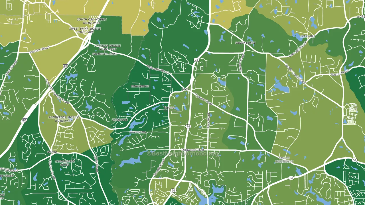 Tyrone, GA block-group voter-turnout map