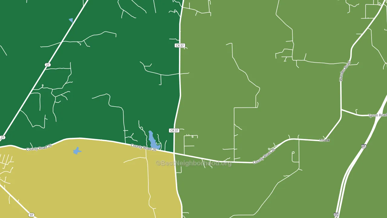 Tyson, AL block-group voter-turnout map
