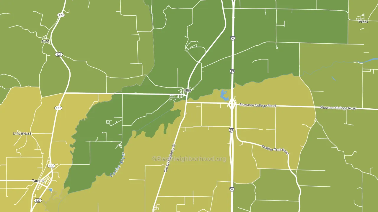 Ullin, IL block-group voter-turnout map