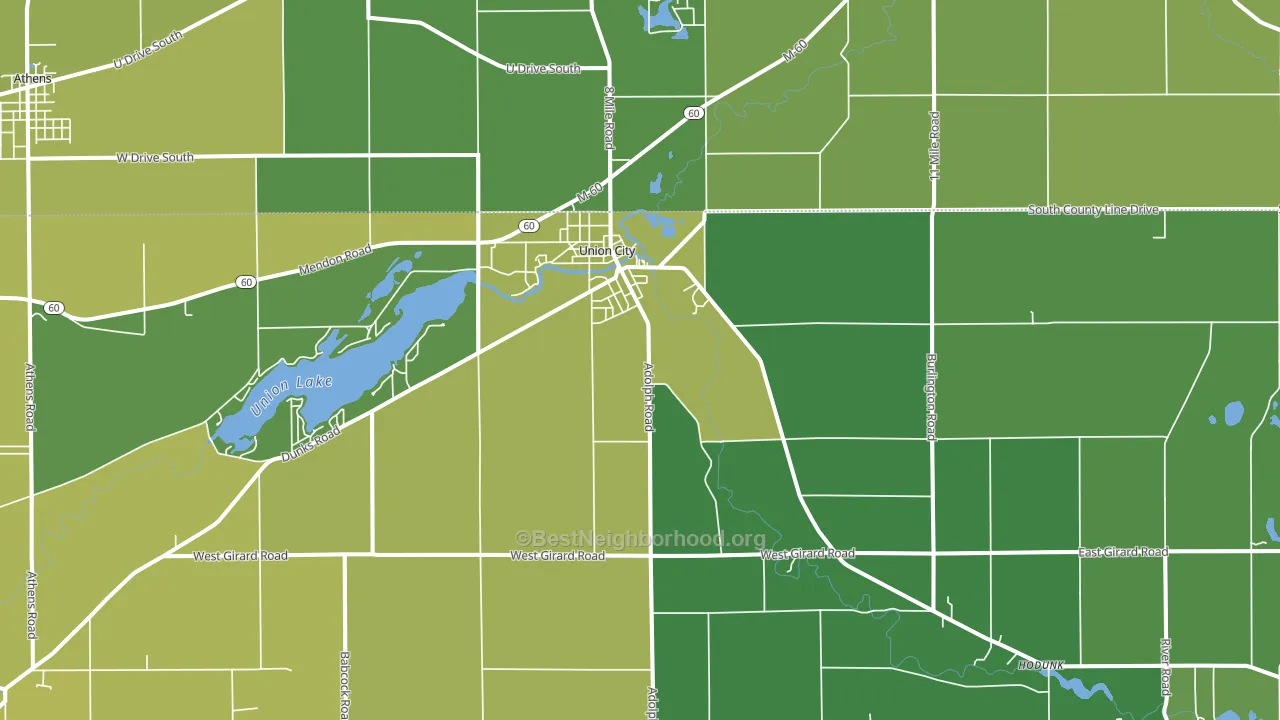 Union City, MI block-group voter-turnout map