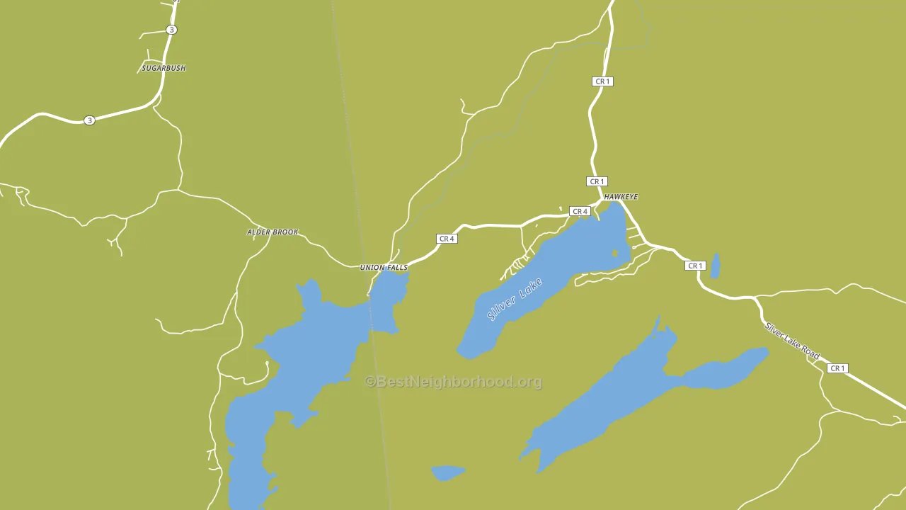 Union Falls, NY block-group voter-turnout map