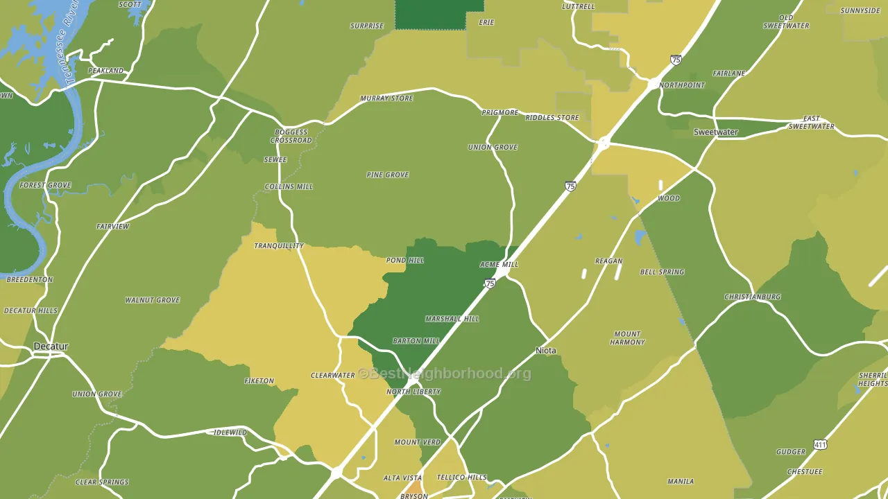 Union Grove, TN block-group voter-turnout map