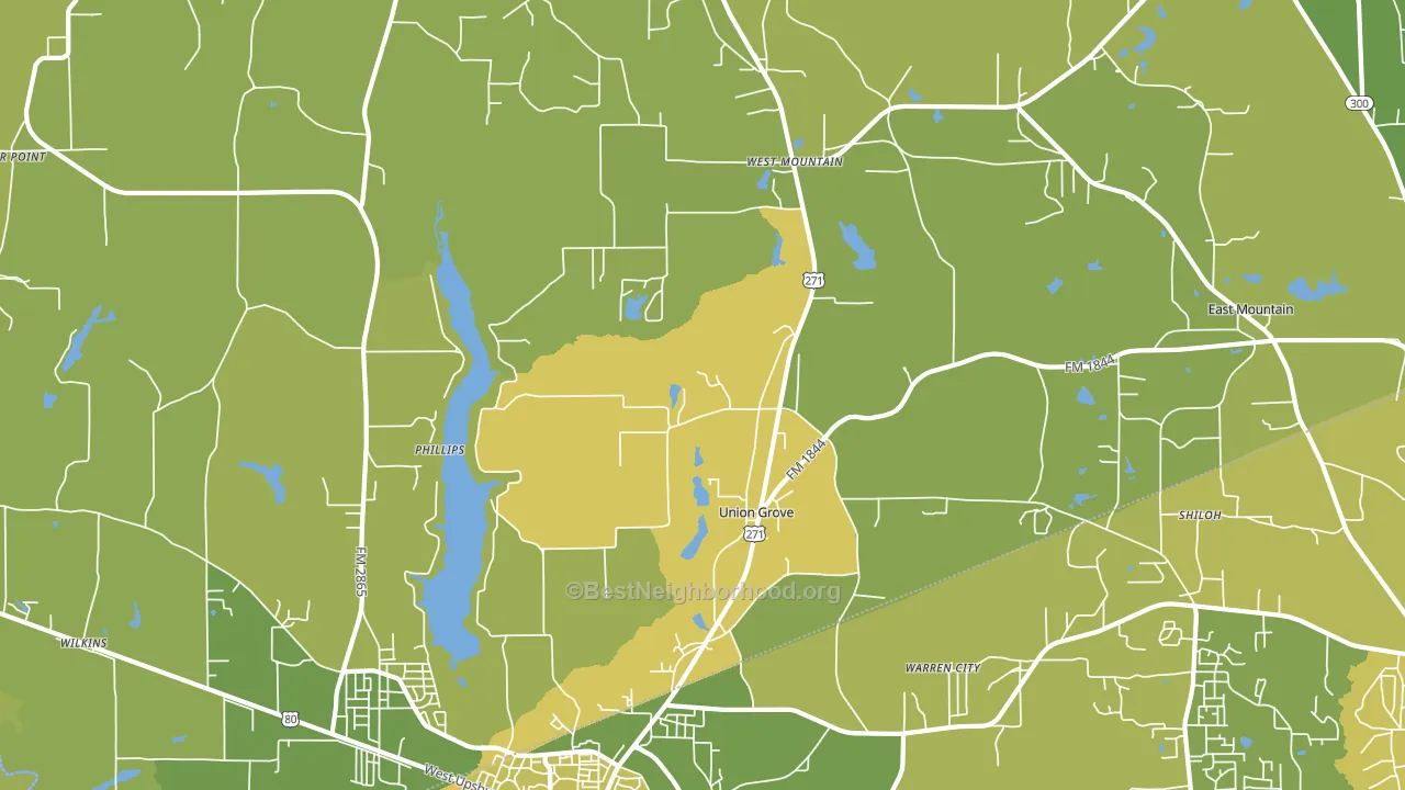 Union Grove, TX block-group voter-turnout map