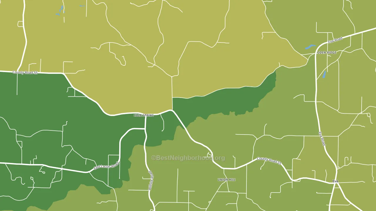 Union Hill, AL block-group voter-turnout map