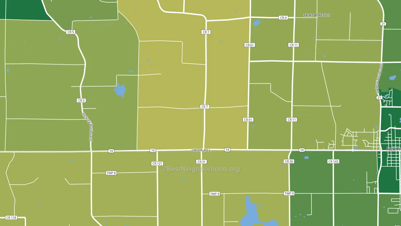 Union Hill, MN block-group voter-turnout map