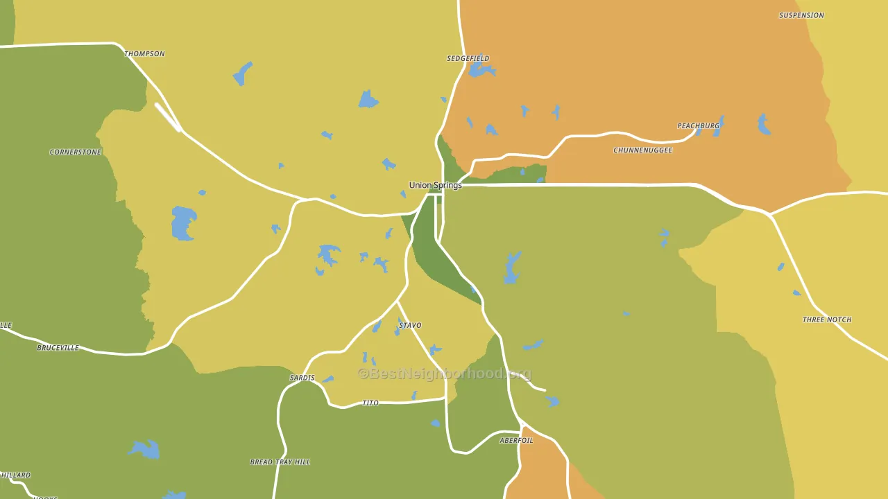 Union Springs, AL block-group voter-turnout map
