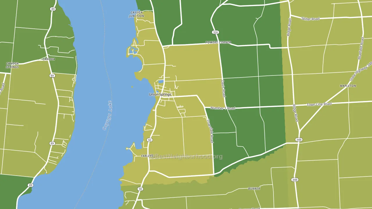 Union Springs, NY block-group voter-turnout map