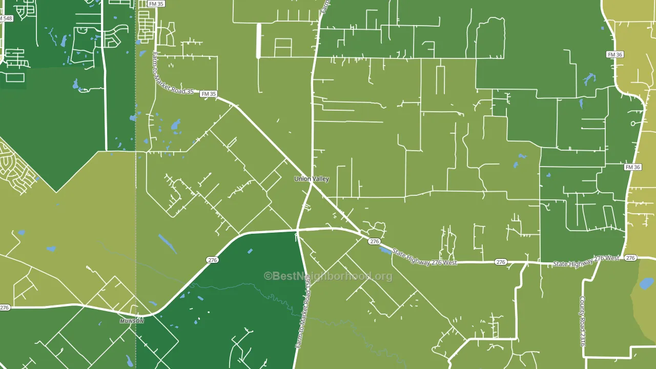 Union Valley, TX block-group voter-turnout map
