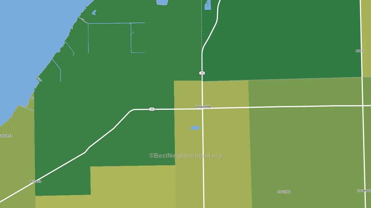 Unionville, MI block-group voter-turnout map