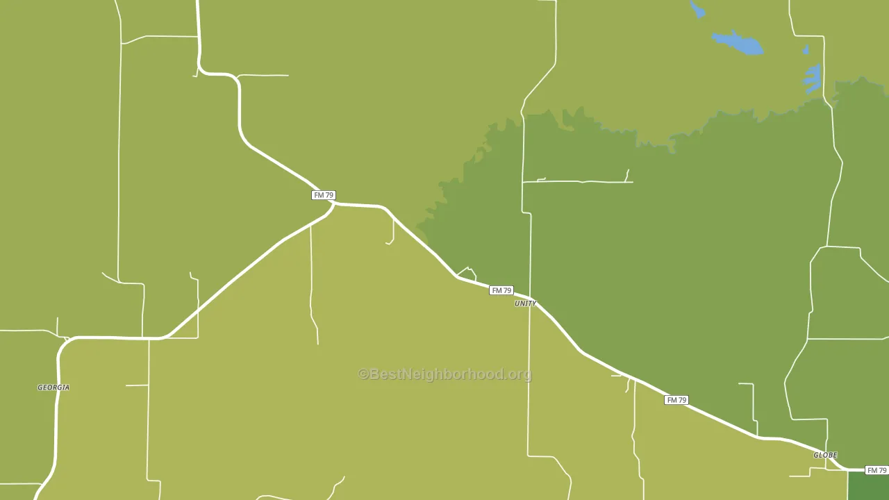 Unity, TX block-group voter-turnout map