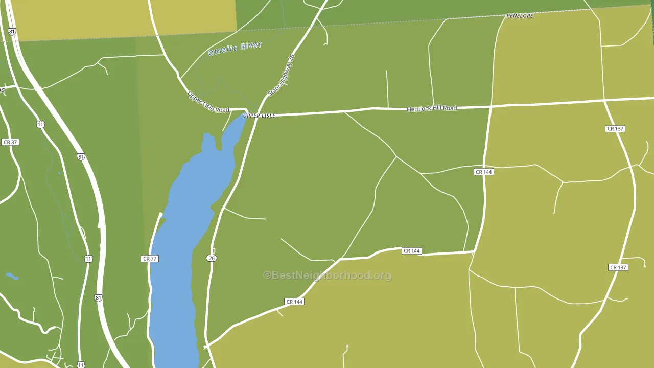 Upper Lisle, NY block-group voter-turnout map