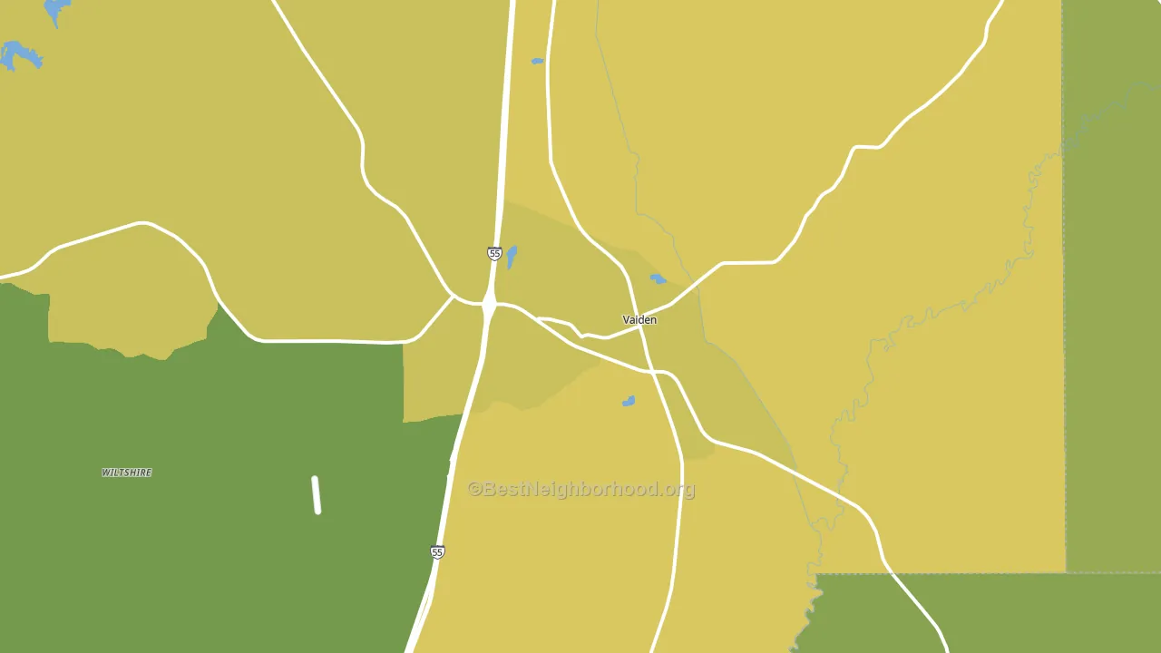 Vaiden, MS block-group voter-turnout map