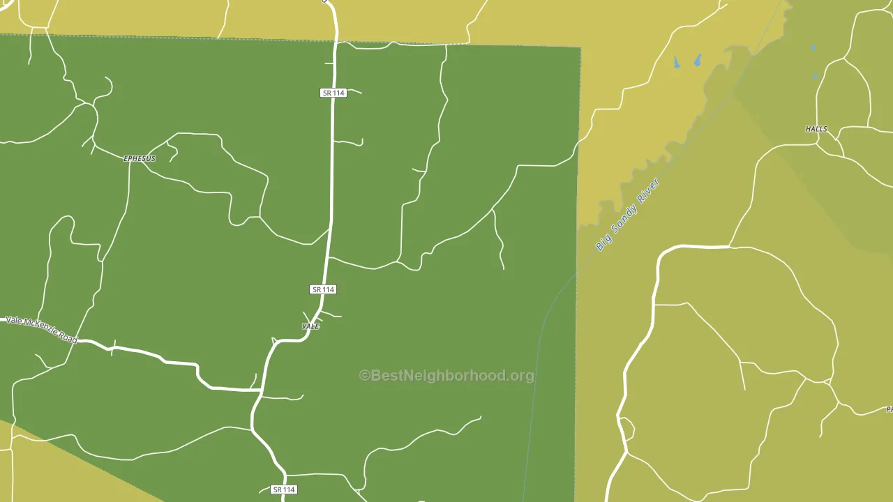 Vale, TN block-group voter-turnout map