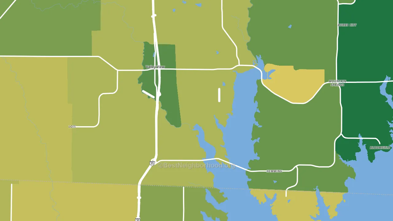 Valley View, TX block-group voter-turnout map