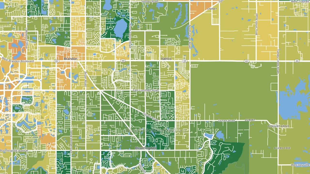 Valrico, FL block-group voter-turnout map