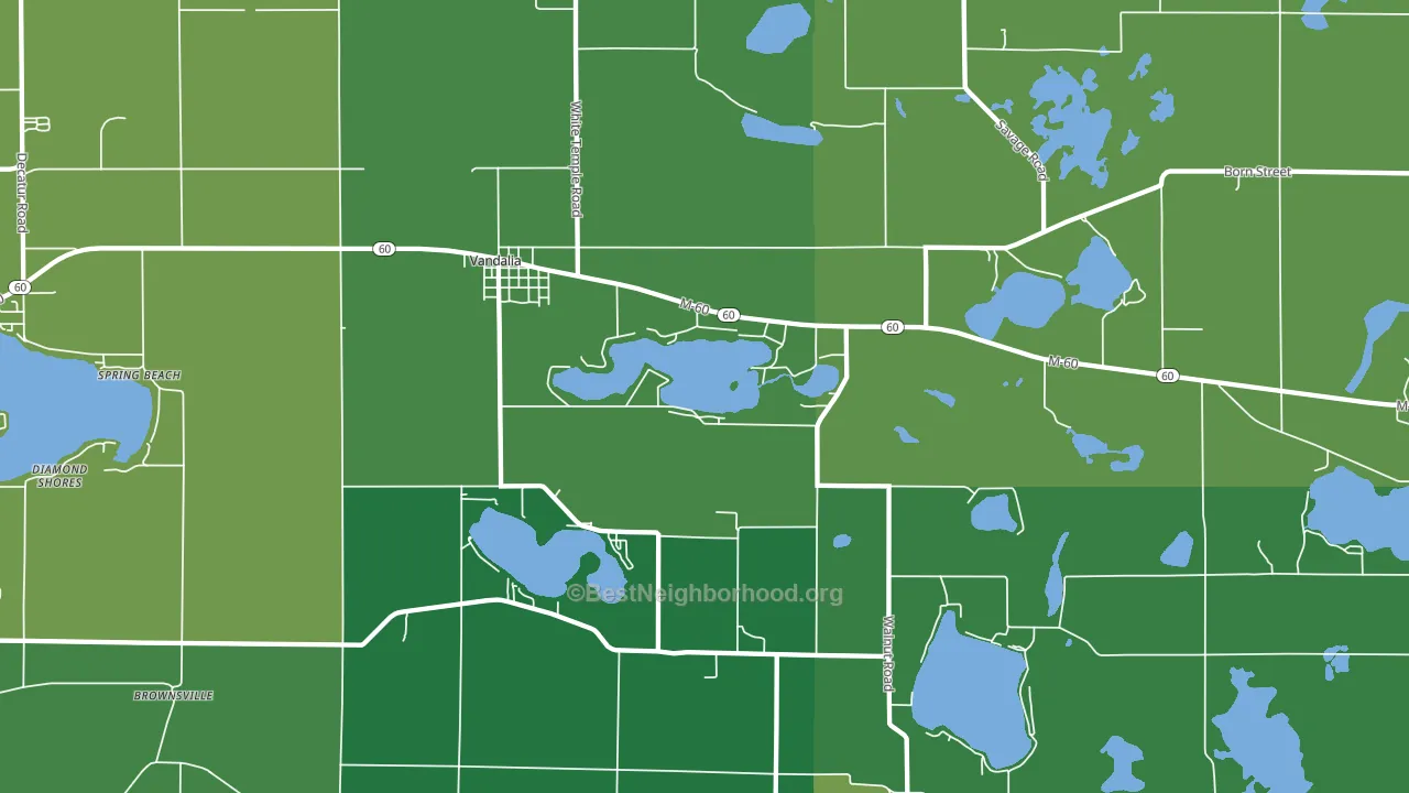 Vandalia, MI block-group voter-turnout map