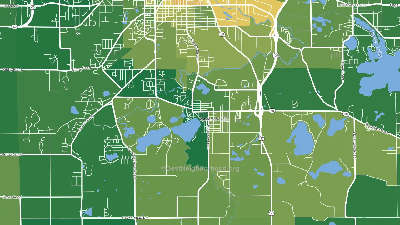 Vandercook Lake, MI block-group voter-turnout map