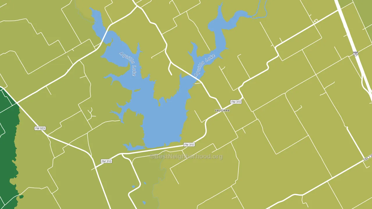 Vaughan, TX block-group voter-turnout map