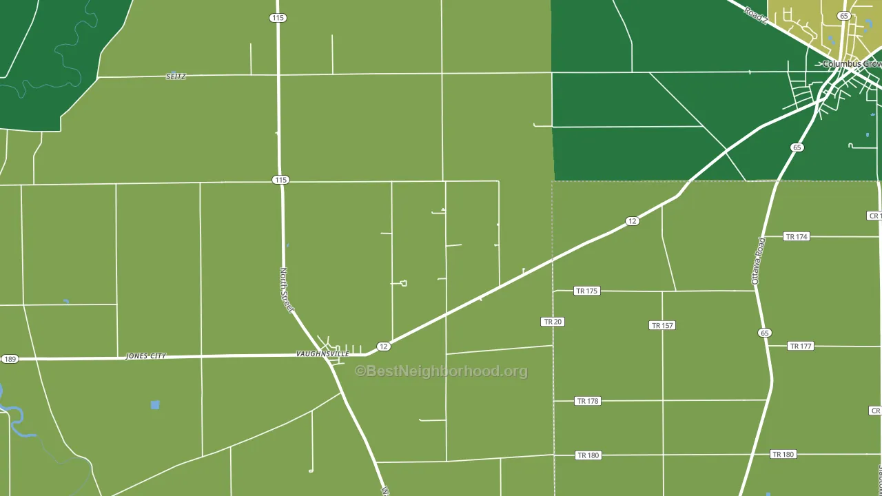 Vaughnsville, OH block-group voter-turnout map