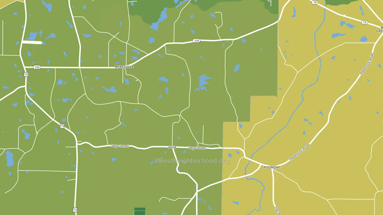Vega, GA block-group voter-turnout map