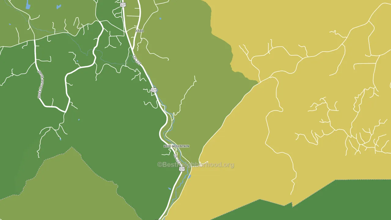 Vein Mountain, NC block-group voter-turnout map