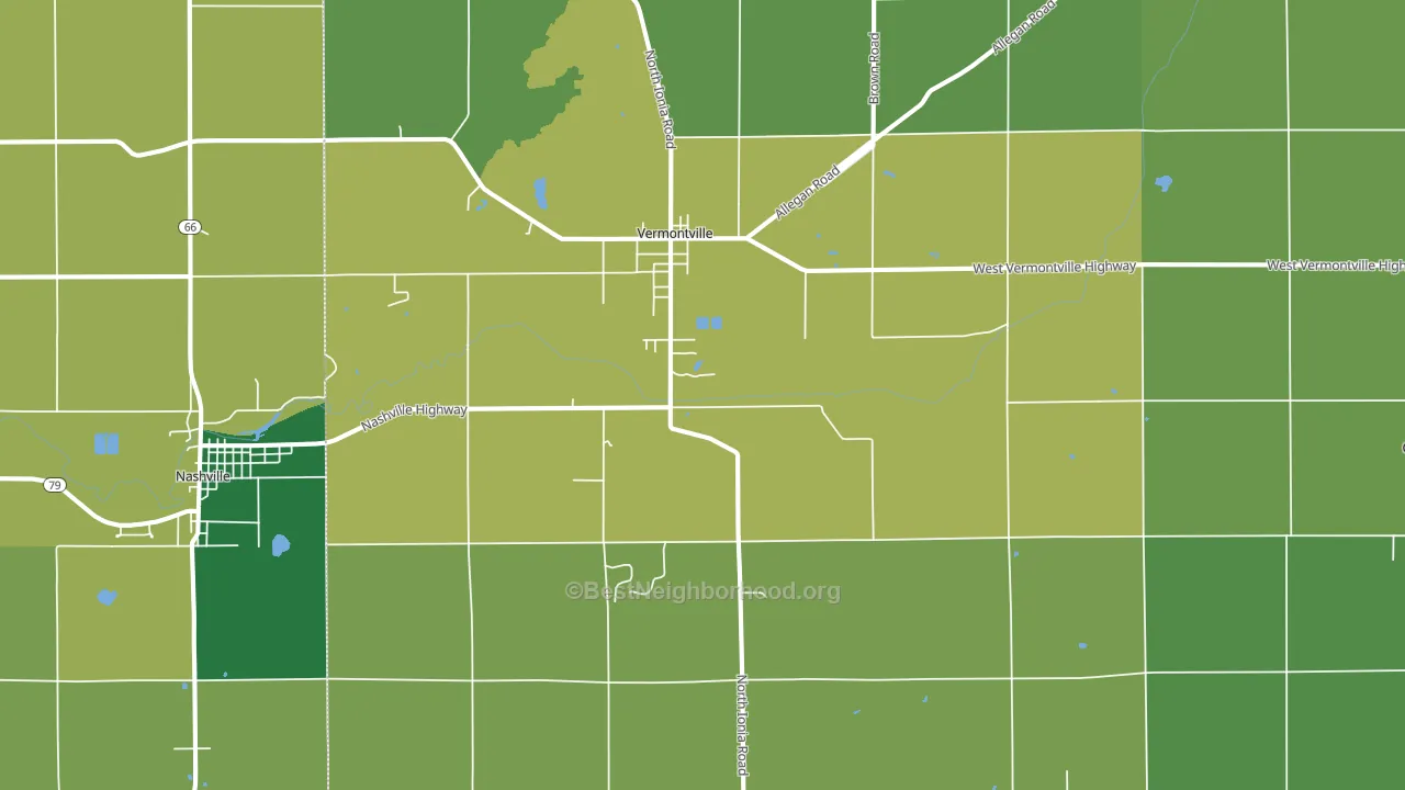 Vermontville, MI block-group voter-turnout map