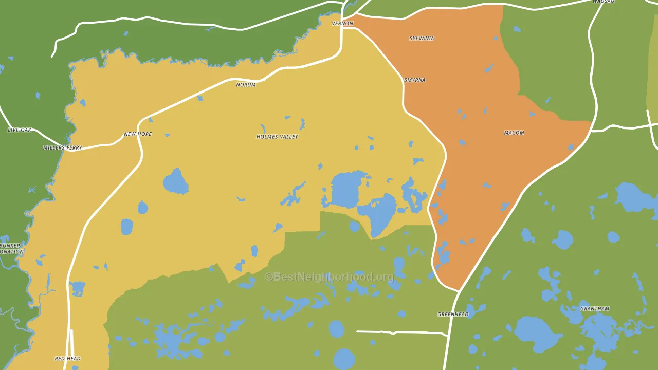 Vernon, FL block-group voter-turnout map