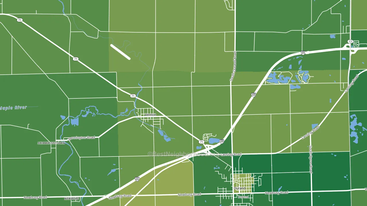 Vernon, MI block-group voter-turnout map