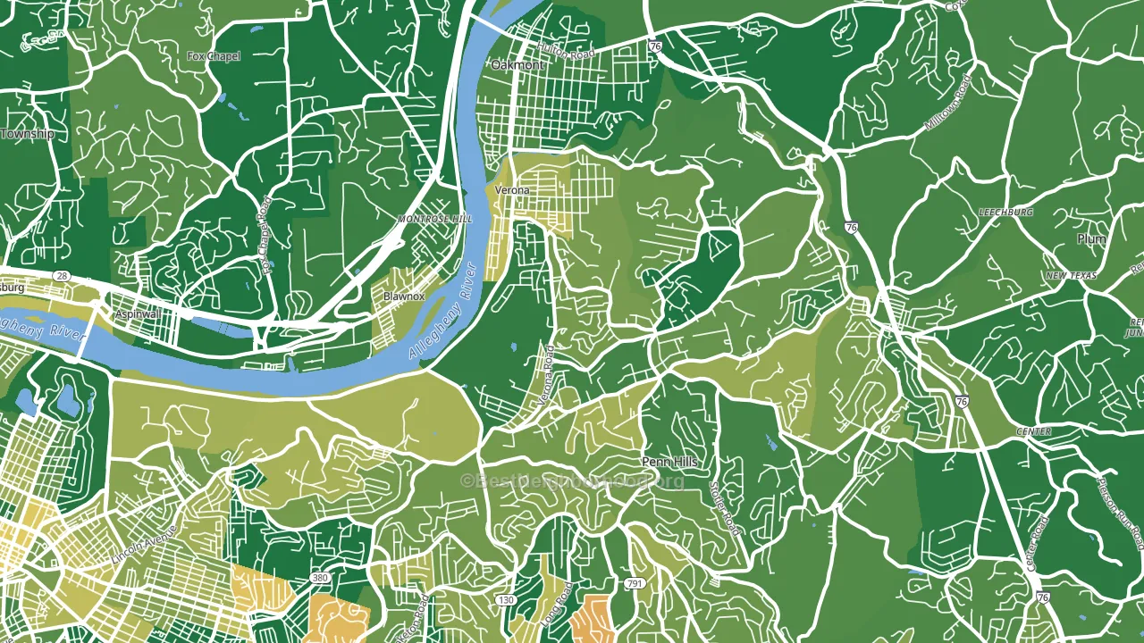Verona, PA block-group voter-turnout map