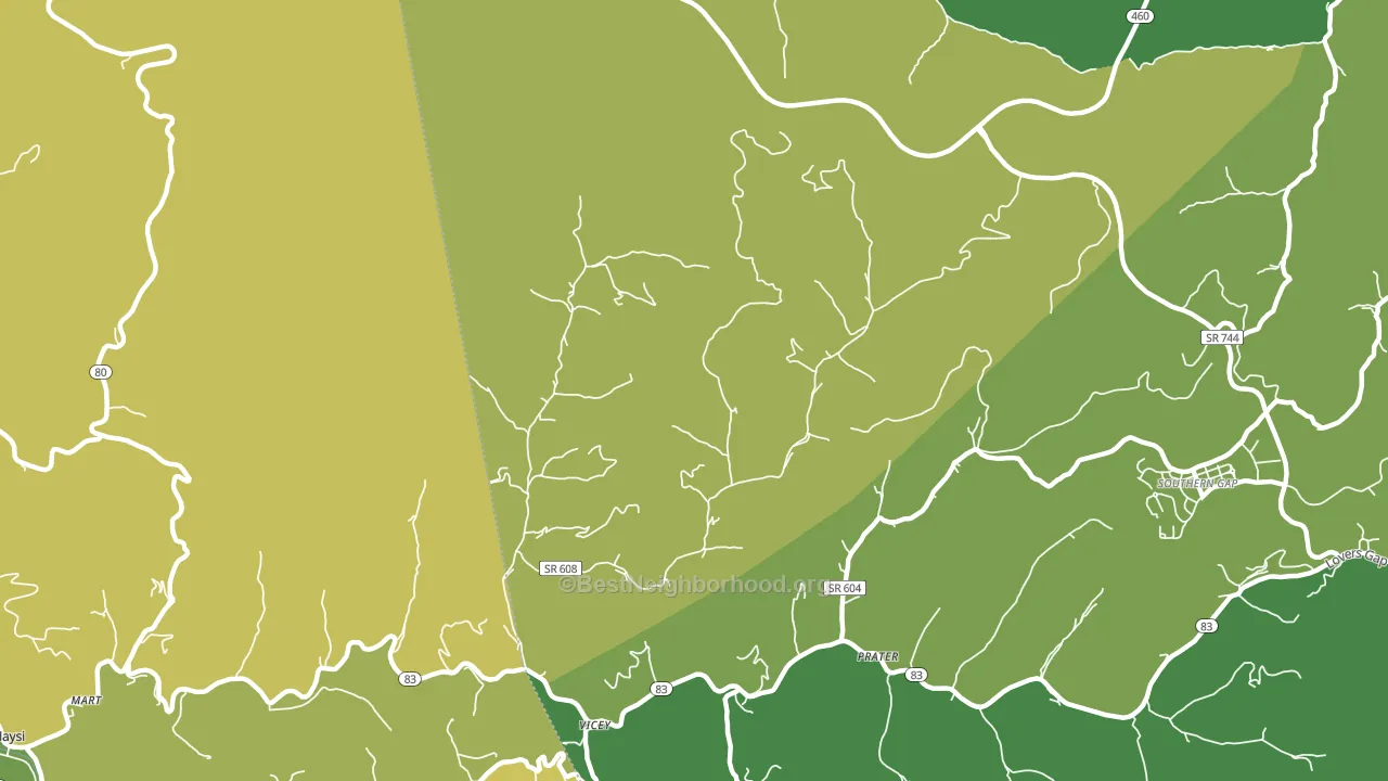 Vicey, VA block-group voter-turnout map