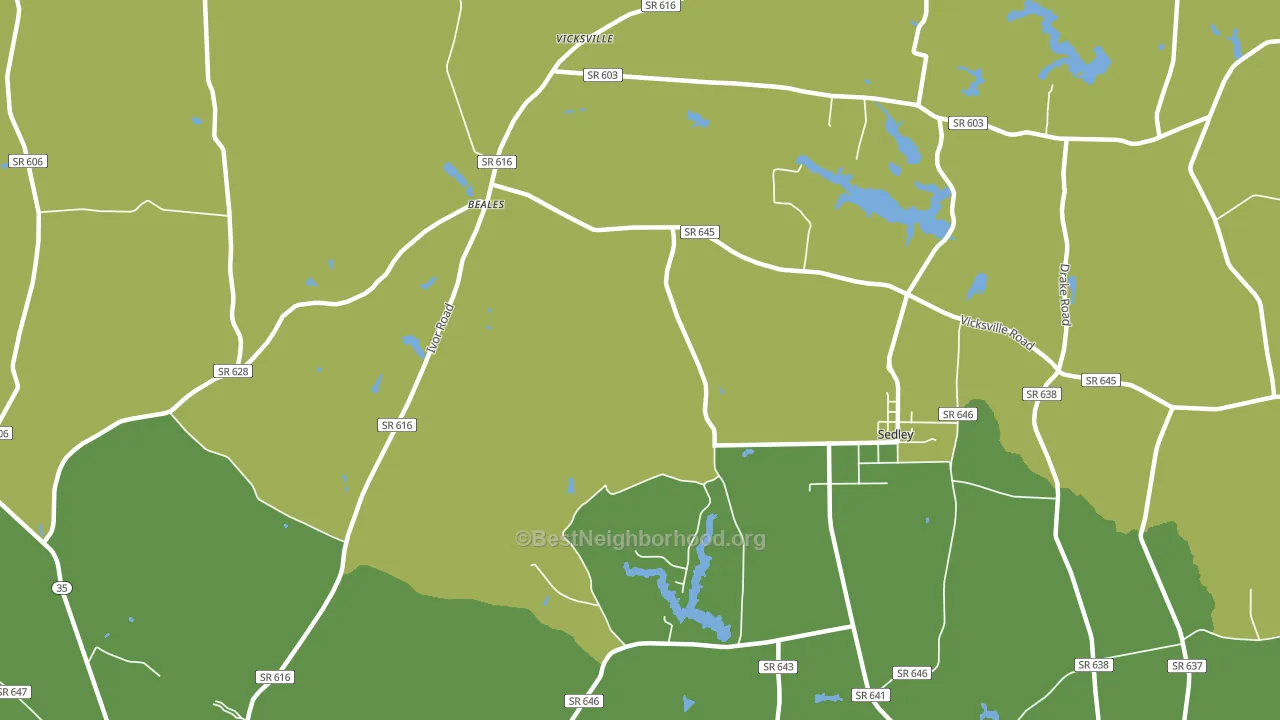 Vicksville, VA block-group voter-turnout map
