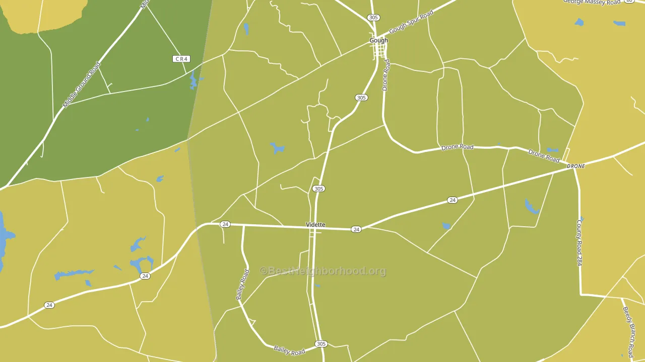Vidette, GA block-group voter-turnout map