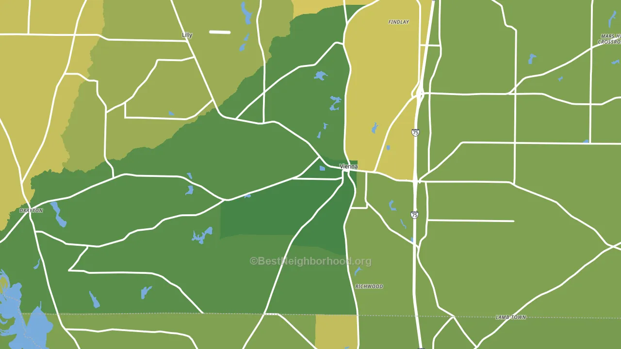 Vienna, GA block-group voter-turnout map
