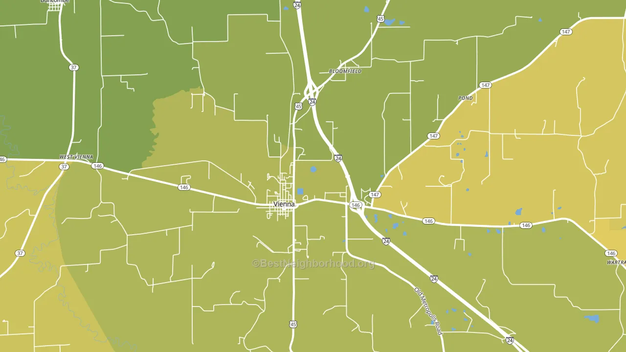 Vienna, IL block-group voter-turnout map