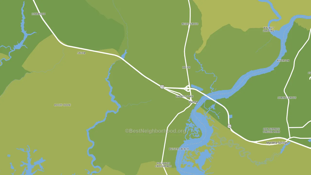 Vienna, MD block-group voter-turnout map