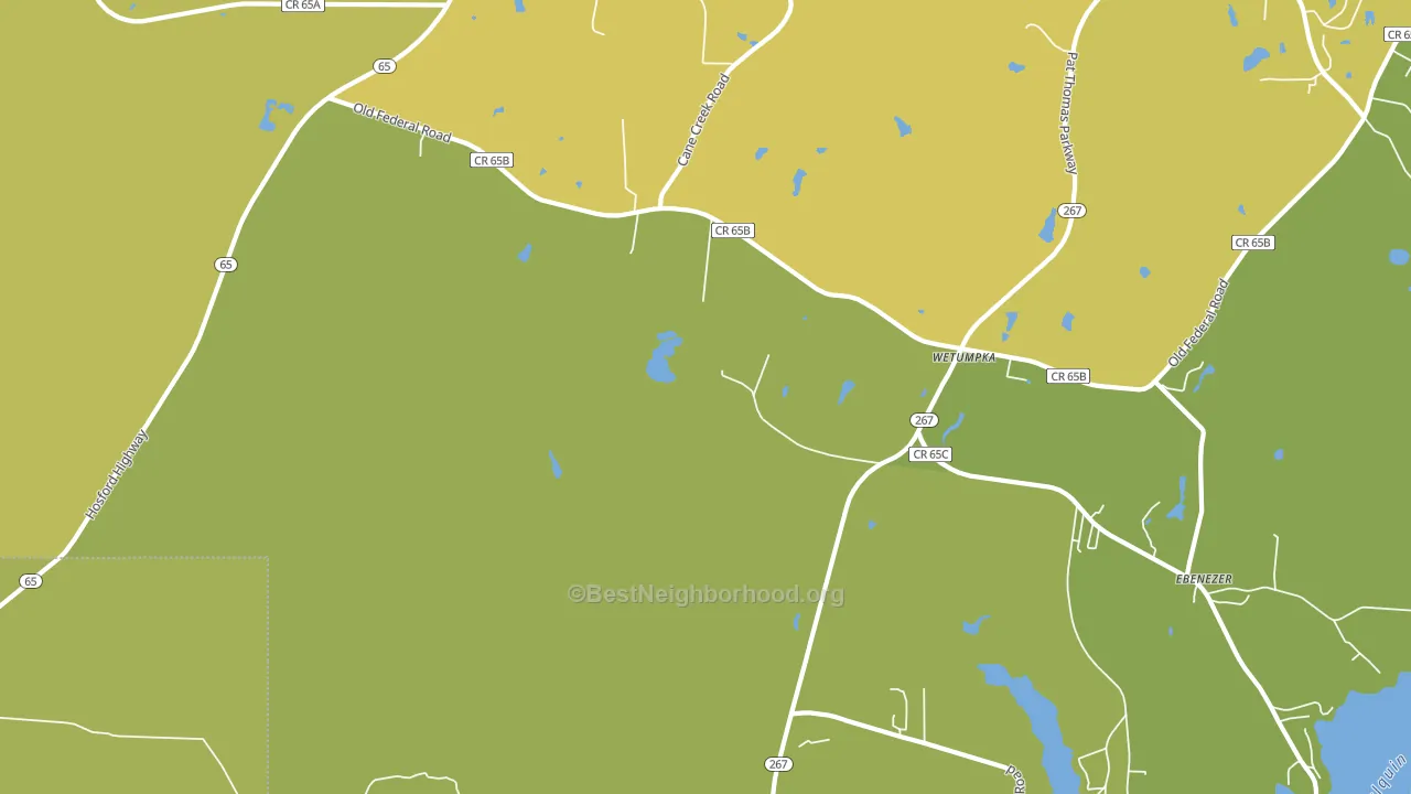 Vilas, FL block-group voter-turnout map