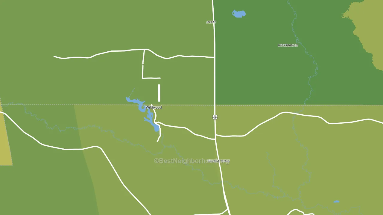 Village Mills, TX block-group voter-turnout map