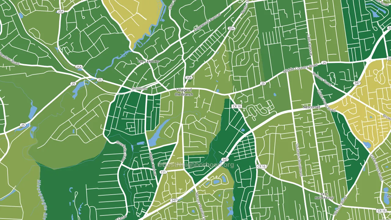 Village of the Branch, NY block-group voter-turnout map