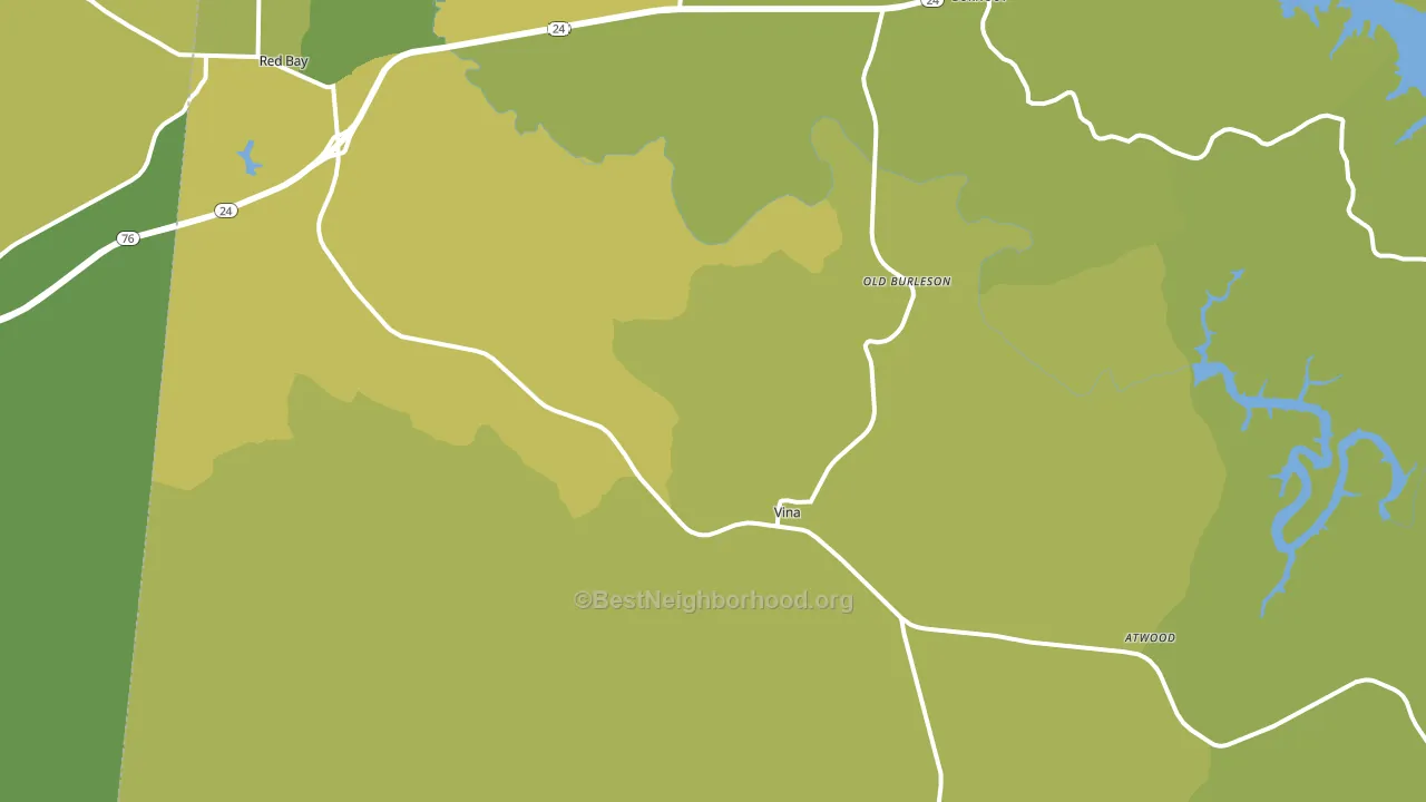 Vina, AL block-group voter-turnout map