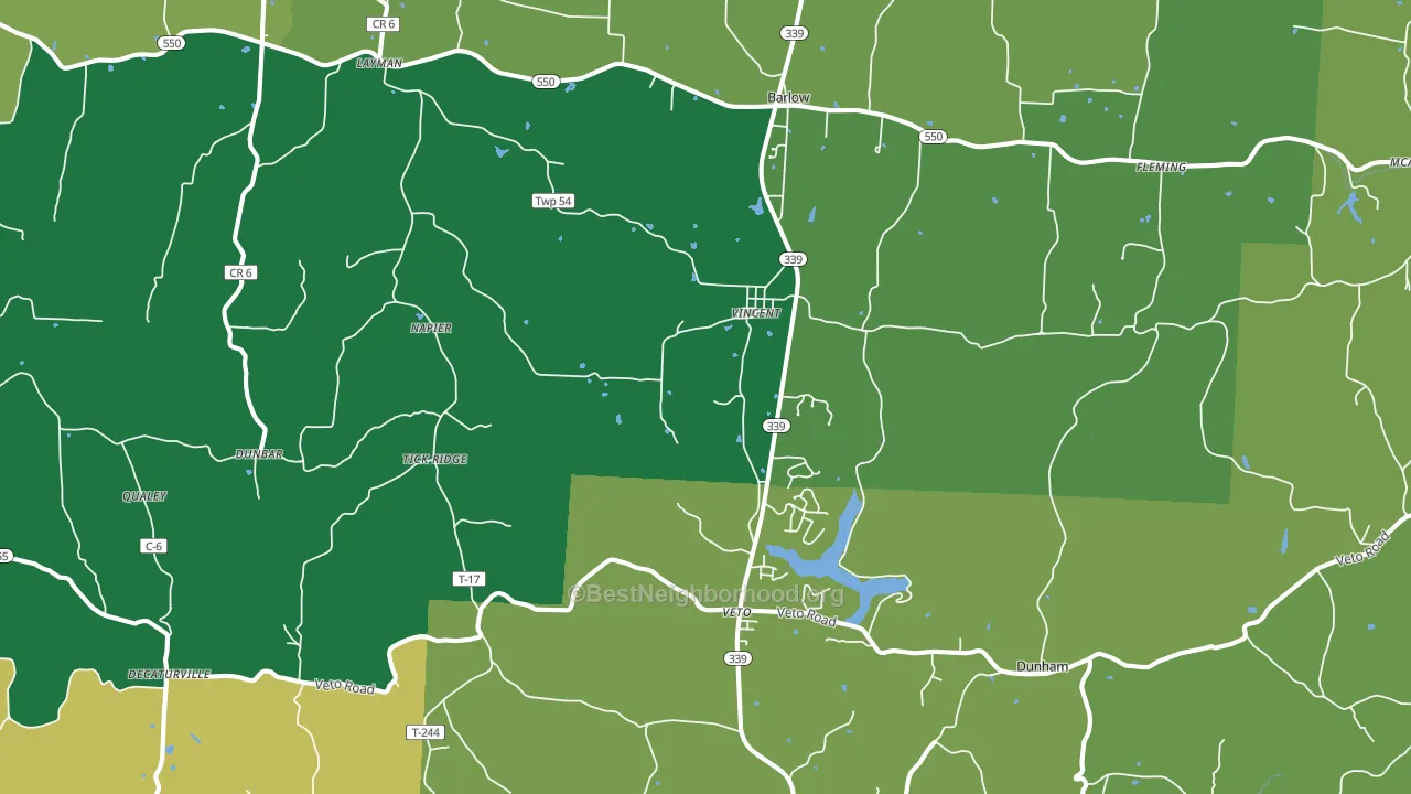 Vincent, OH block-group voter-turnout map