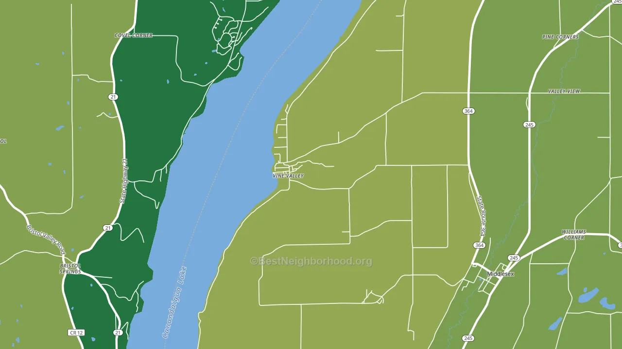 Vine Valley, NY block-group voter-turnout map