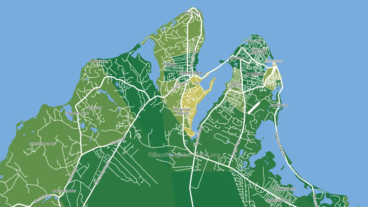 Vineyard Haven, MA block-group voter-turnout map