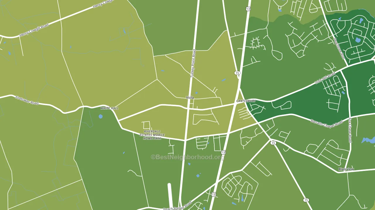 Viola, DE block-group voter-turnout map